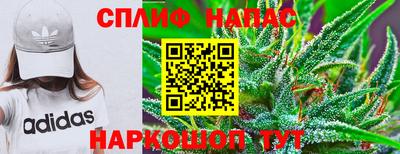 молекула духа Ярославль