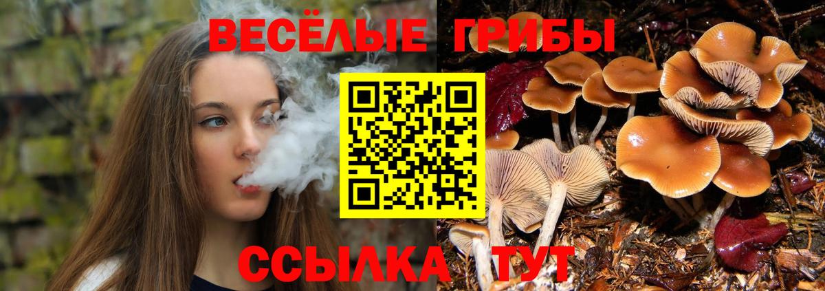 Псилоцибиновые грибы мухоморы Тайшет
